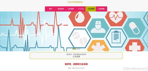 基于Node.js与Vue.js的智能药店药品管理系统设计与实现